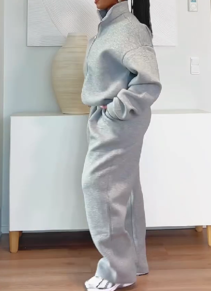 Stand Collar Zipper Sweatshirt And Sweatpants Set