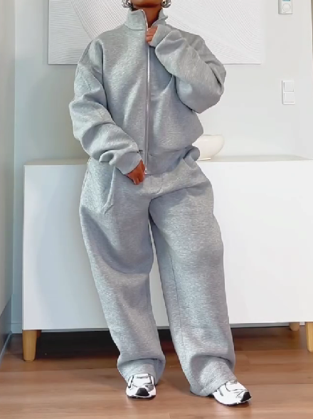 Stand Collar Zipper Sweatshirt And Sweatpants Set